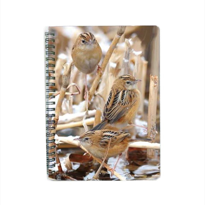 3D Lenticular Notebook